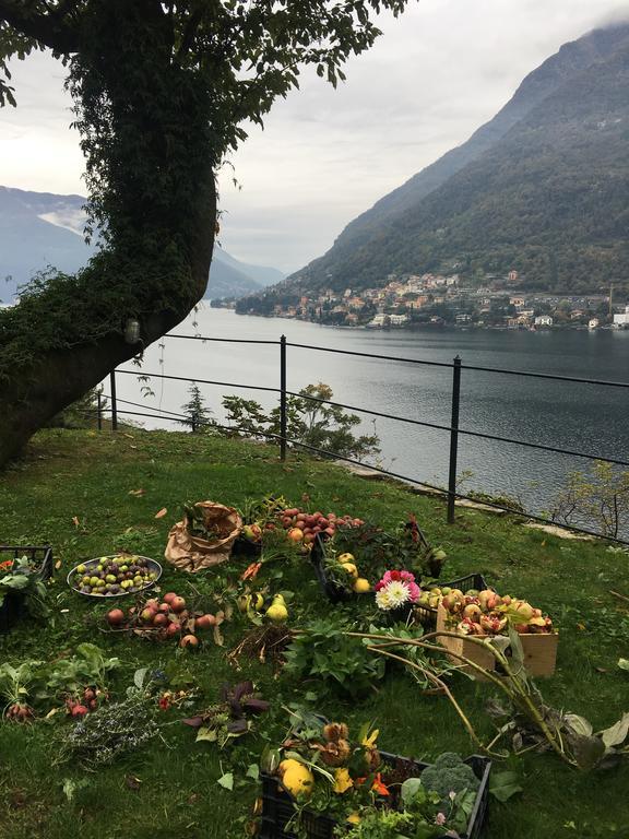 Casa Vacanza Castagna Nesso Esterno foto