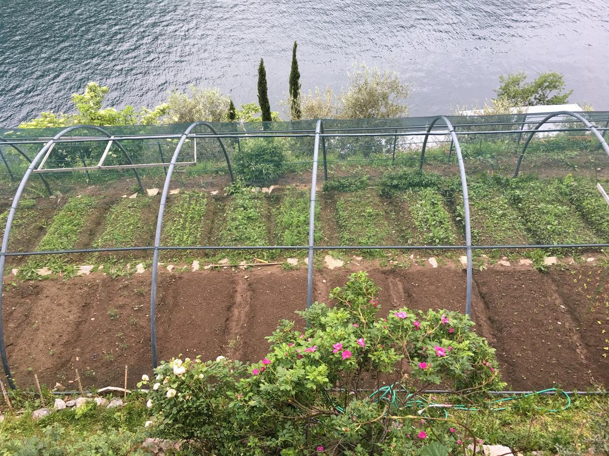 Casa Vacanza Castagna Nesso Esterno foto